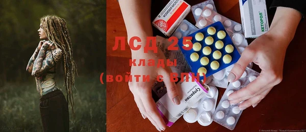 ГАЛЛЮЦИНОГЕННЫЕ ГРИБЫ Белокуриха