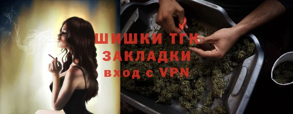 ГАЛЛЮЦИНОГЕННЫЕ ГРИБЫ Белокуриха