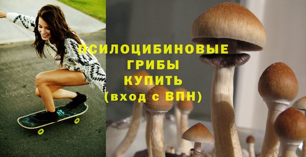 бошки Белоозёрский