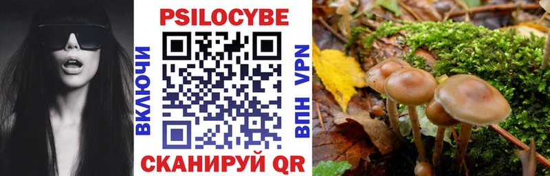 Галлюциногенные грибы GOLDEN TEACHER Шахунья